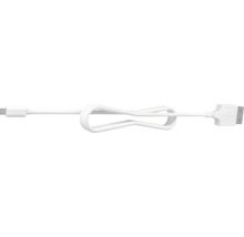 Motion USB-C Kabel vit 3m