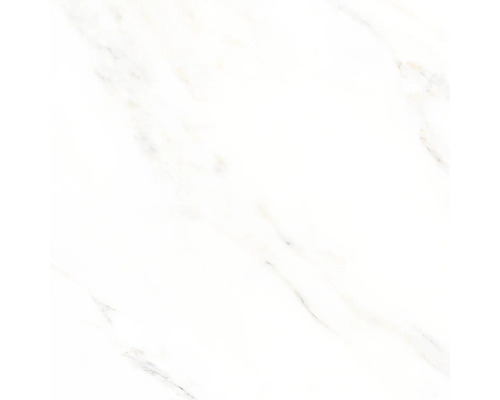 Klinker vit blank premium calacatta marmoroptik 60x60 cm