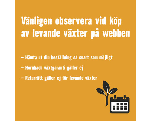 Vänligen observera vid köp av levande växter på webben