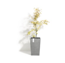 Blomkruka ECOPOTS Rotterdam 30x30x50cm grå