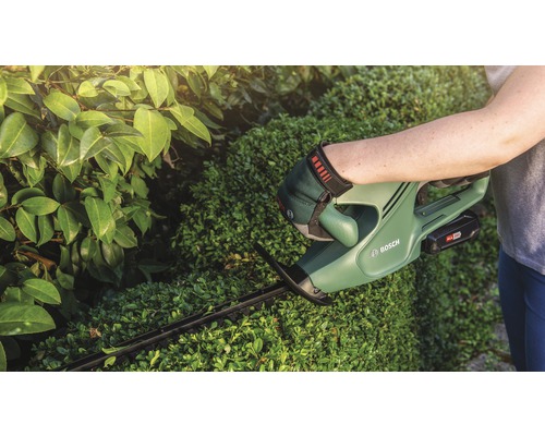 En person klipper en häck med en sladdlös häcksax från Bosch.
