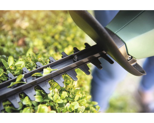 Närbild av en häcksax som klipper en häck.