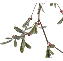 Mistelgren med blad och bär