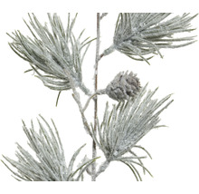 Dekorativ tallgren med kottar för juldekorationer