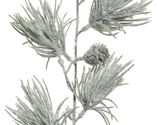 Dekorativ tallgren med kottar för juldekorationer