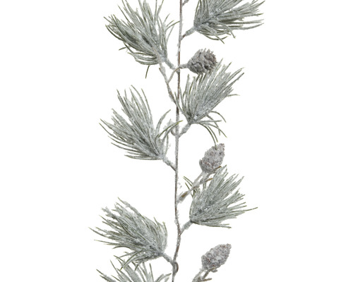 Dekorativ grangren med kottar