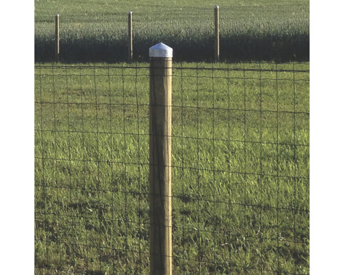 Trästolpe med metallhatt och stängsel i gräset