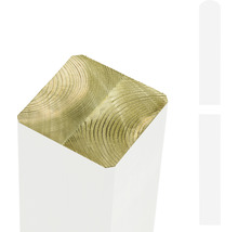 Närbild av tvärsnitt av träbalk