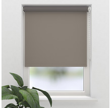 Fönster med mörkläggningsrullgardin