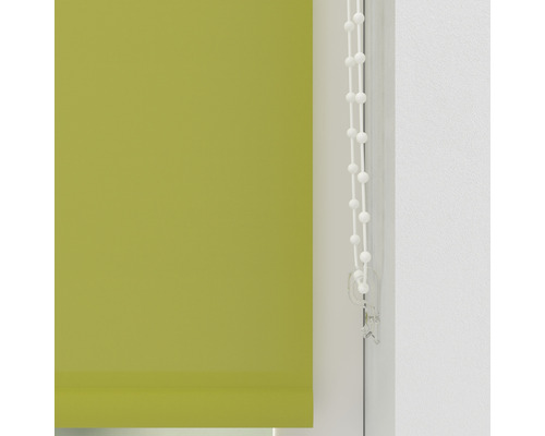 Grön rullgardin med kedjedrag för ljusreglering