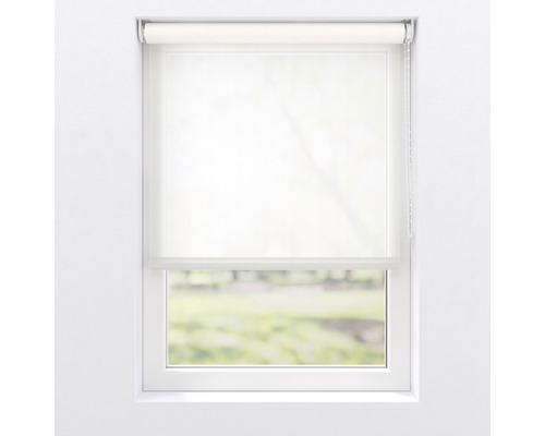 Fönster med ljusgenomsläpplig rullgardin