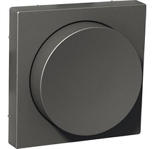 Dimmerratt m centrumplatta SCHNEIDER ELECTRIC Exxact 1360455