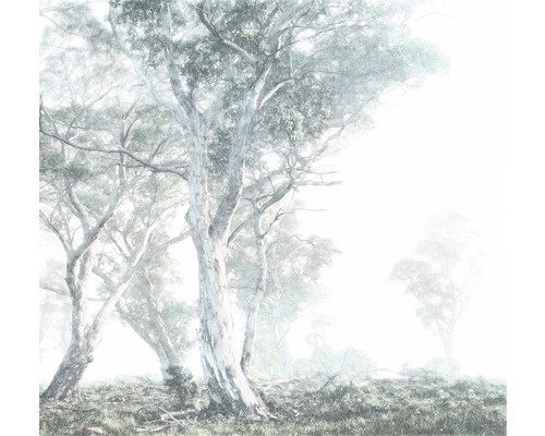 Fototapet KOMAR Magic Trees 3 delar 300x280cm R3-023