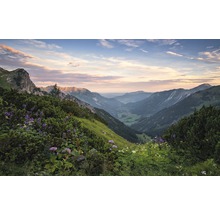 Panoramautsikt över ett bergslandskap med en blomsteräng i förgrunden