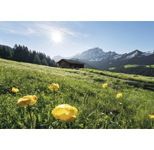 Landskap med alpstuga, bergäng och alppanorama