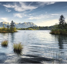 Landskap med sjö, träd och berg