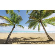 Fototapet KOMAR Caribbean Day II 9 delar 450x280cm SHX9-014