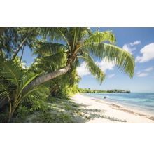 Fototapet KOMAR Fiji Dream Boat 9 delar 450x280cm SHX9-109