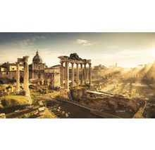Historiska ruiner och byggnader på Forum Romanum i Rom i gryningen.