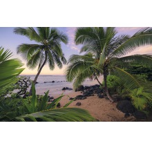 Fototapet KOMAR Hawaiian Dreams 9 delar 450x280cm SHX9-116