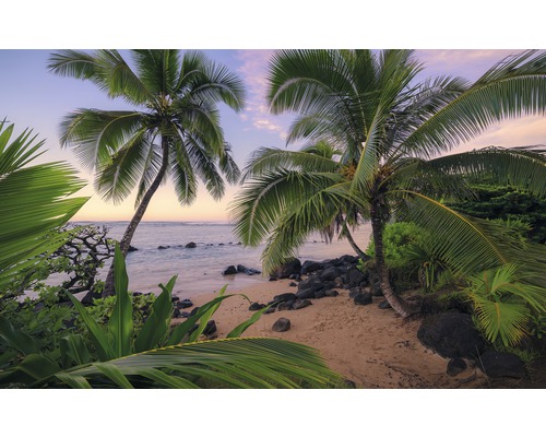 Fototapet KOMAR Hawaiian Dreams 9 delar 450x280cm SHX9-116