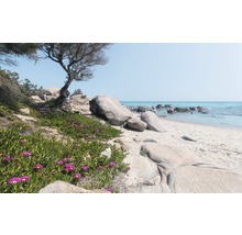 Fototapet KOMAR Mediterranean dreams 9 delar 450x280cm SHX9-056