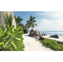 Strandscen med stenar, palmer och frodig vegetation