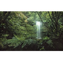 Vy från ett vattenfall mitt i frodig vegetation