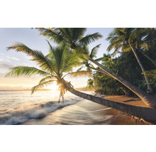 Fototapet KOMAR Beach Sunset 9 delar 450x280cm SHX9-082