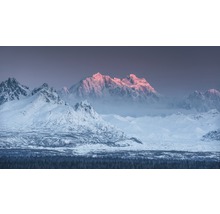 Vinterlandskap med snötäckta berg och skog