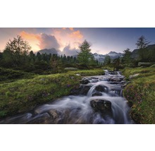Fjällbäck som rinner genom grönt landskap med träd och berg i bakgrunden