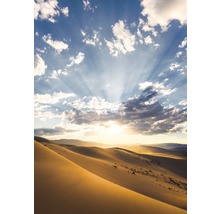 Fototapet KOMAR Desert Magic 200x280cm SHX4-100-thumb-0