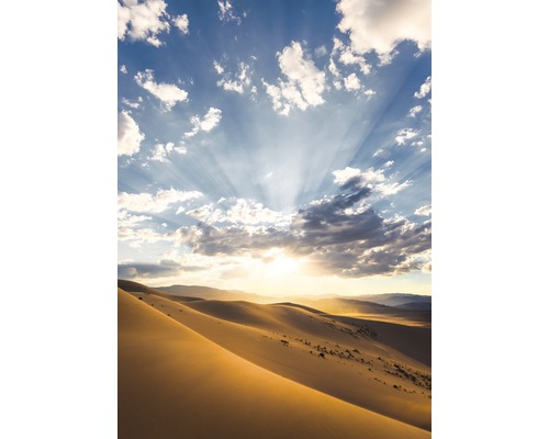Fototapet KOMAR Desert Magic 200x280cm SHX4-100