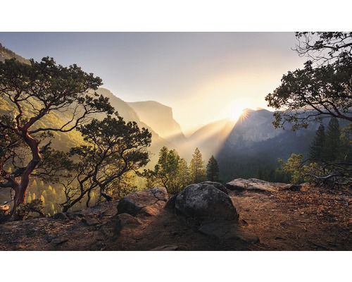 Fototapet KOMAR Yosemites Secret 9 delar 450x280cm SHX9-101