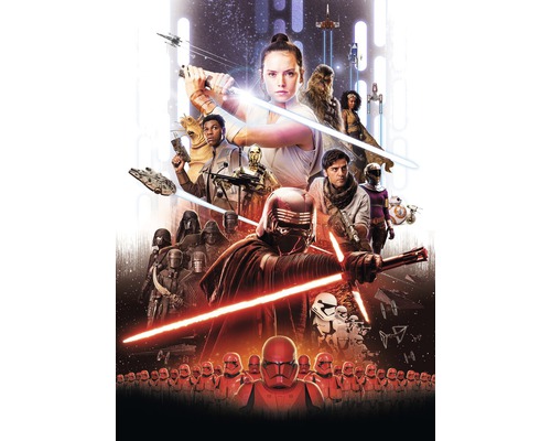 Fototapet KOMAR Star Wars movie poster rey 4 delar 180x280cm 4-4113