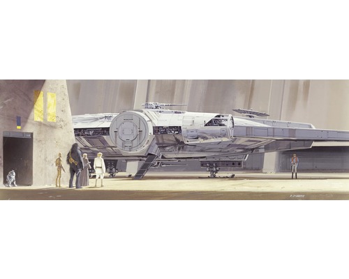 Fototapet KOMAR Star Wars RMQ Millenium Falcon 4 delar 368x127cm 4-4112