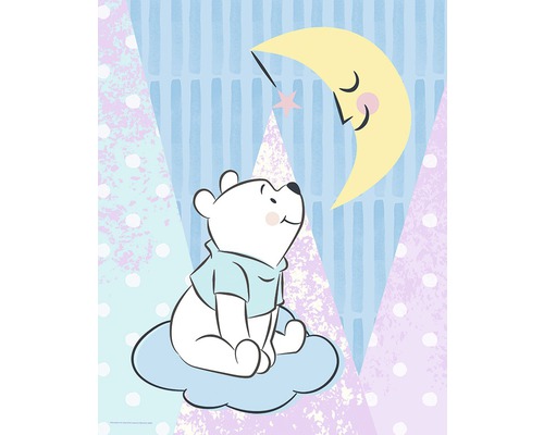 Poster KOMAR Winnie Pooh Moon 40x50cm