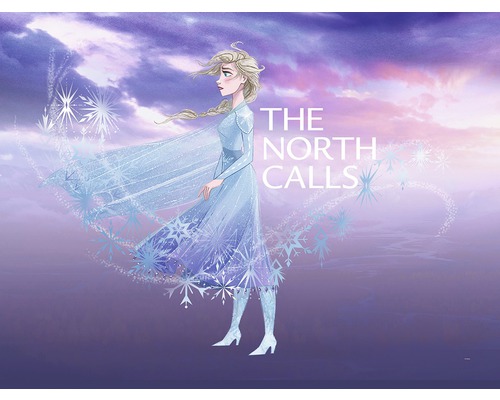 Poster KOMAR Frozen Elsa The North Calls 40x30cm