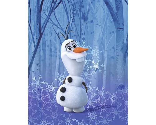 Poster KOMAR Frozen Olaf Crystal 40x50cm