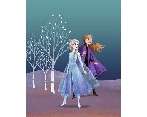 Poster KOMAR Frozen Sisters 40x50cm