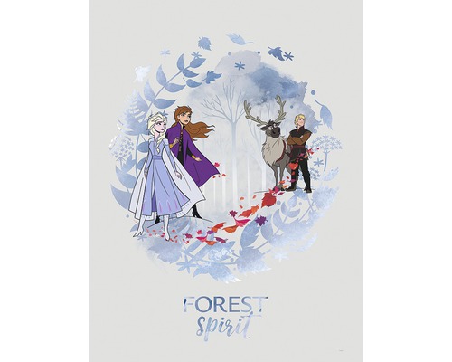 Poster KOMAR Frozen Spirit 30x40cm