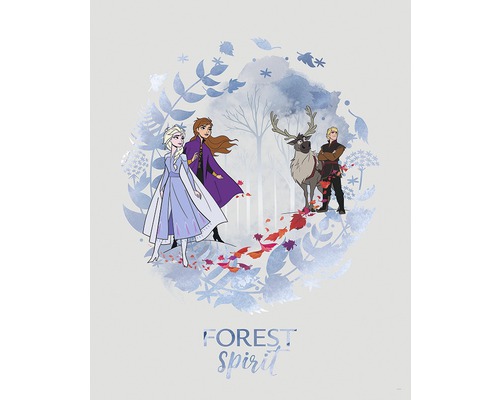 Poster KOMAR Frozen Spirit 40x50cm