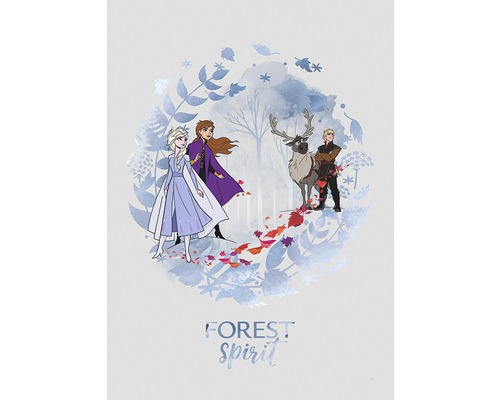 Poster KOMAR Frozen Spirit 50x70cm
