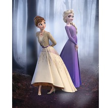 Poster KOMAR Frozen Wood Walk 40x50cm