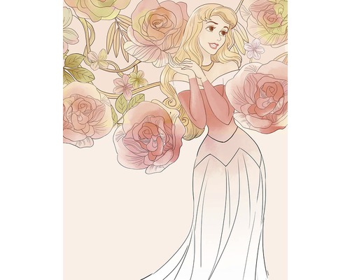 Poster KOMAR Sleeping Beauty Roses 40x50cm