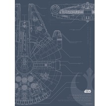 Poster KOMAR Blueprint Falcon 30x40cm-thumb-0