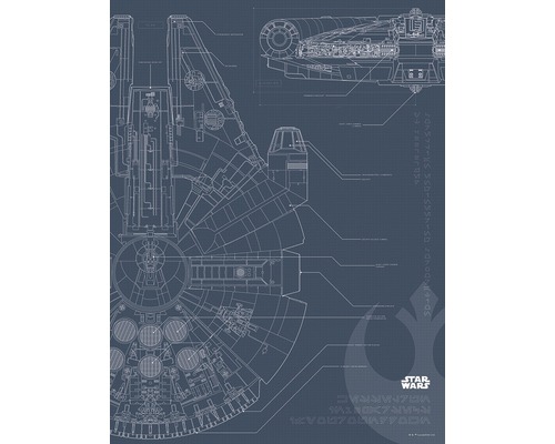 Poster KOMAR Blueprint Falcon 30x40cm-0