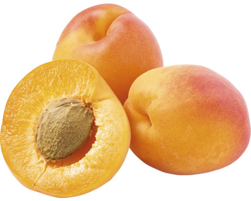 Tre aprikoser, en halverad med kärna