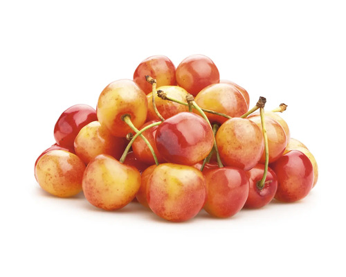 Sötkörsbär OMNIA GARDEN Prunus avium Heidi Sötkörsbär OMNIA GARDEN Prunus avium Heidi
