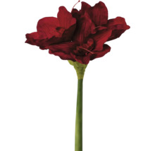 Konstgjord amaryllisblomma med stjälk